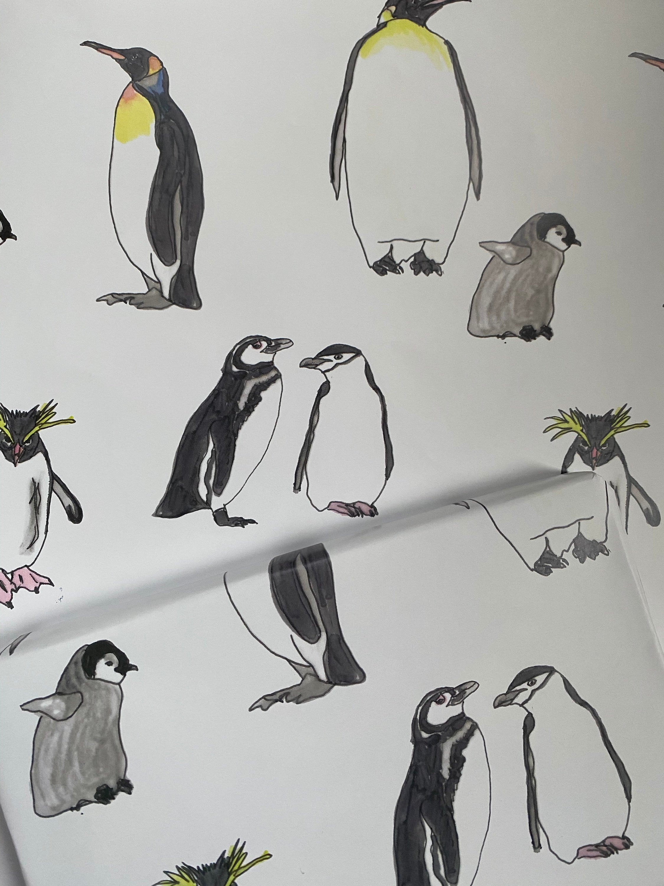 Penguin Wrapping Paper - Wildlife Gift Wrap
