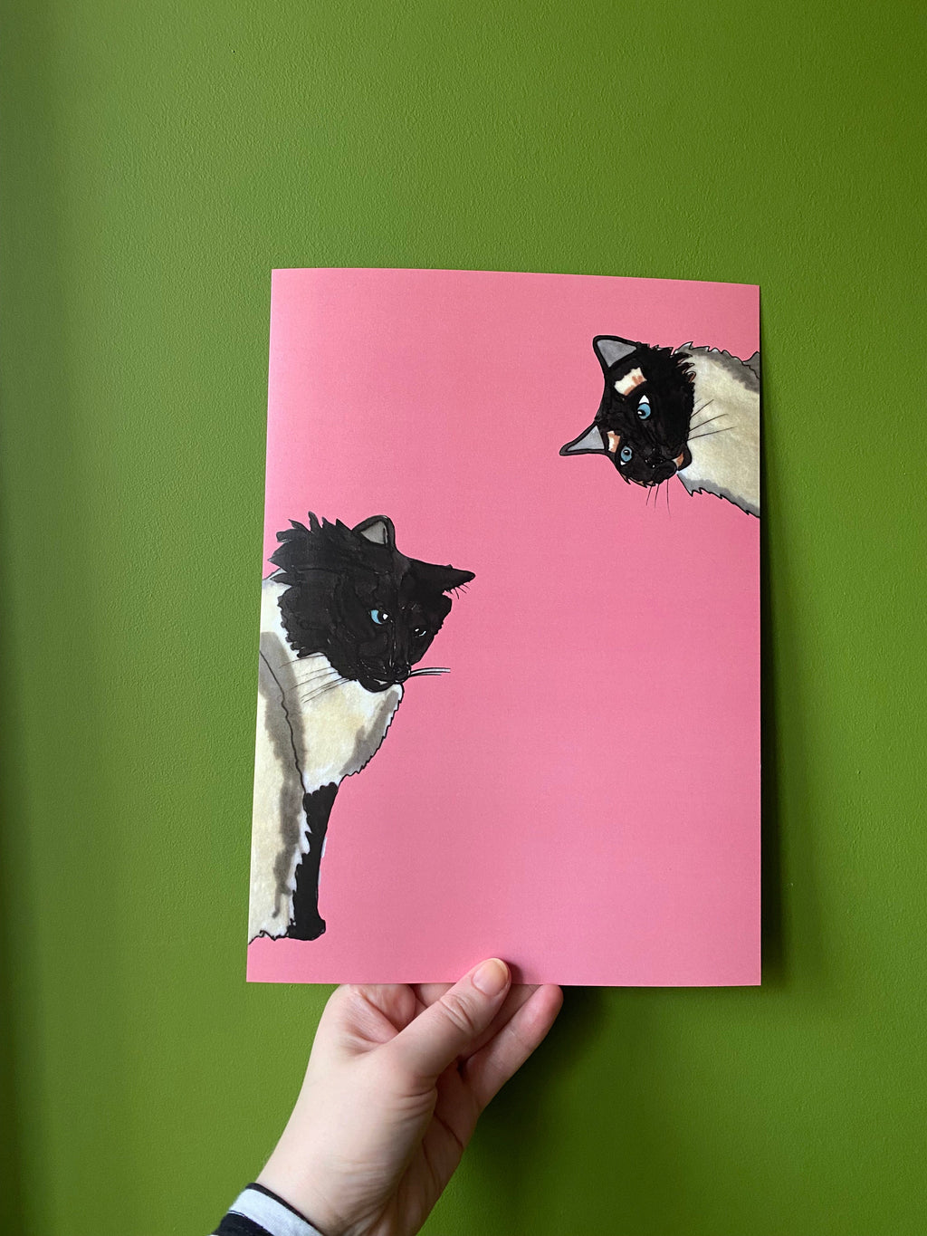 Goofy Cat Art Print - A4 Ragdoll Cat Print