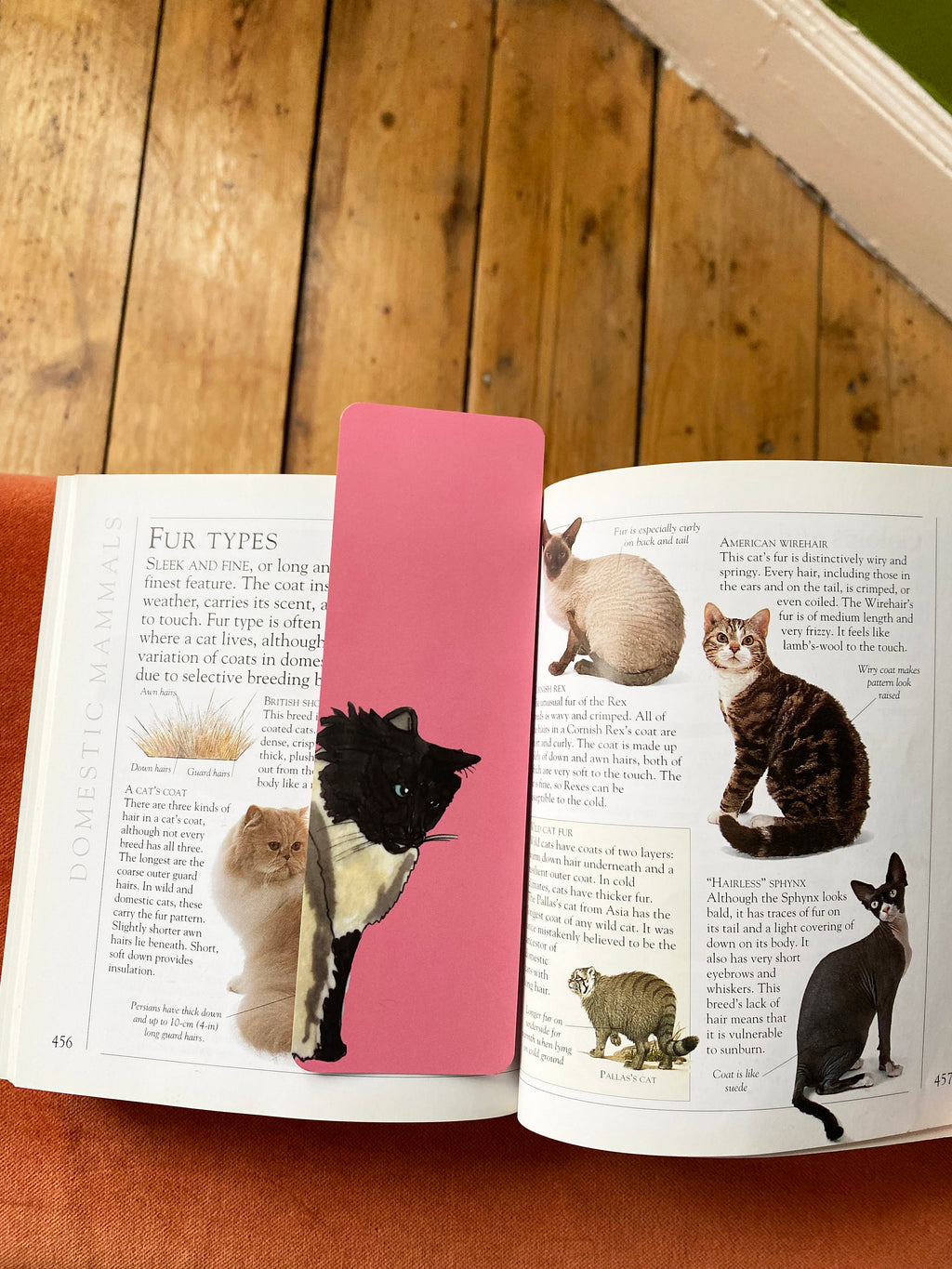 Goofy Des Cat Bookmark - Ragdoll Cat Print